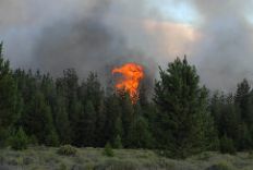 /fotos/20090119/notas/incendio10[1]_65827.jpg